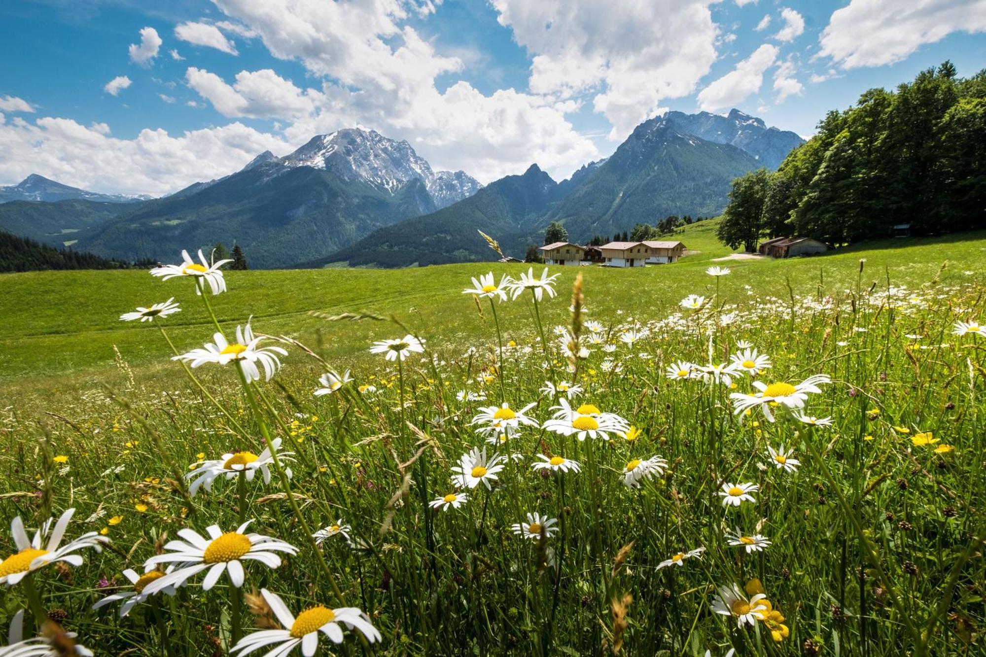Ettlerlehen Chalets 람사우 외부 사진